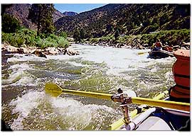 The Arkansas River