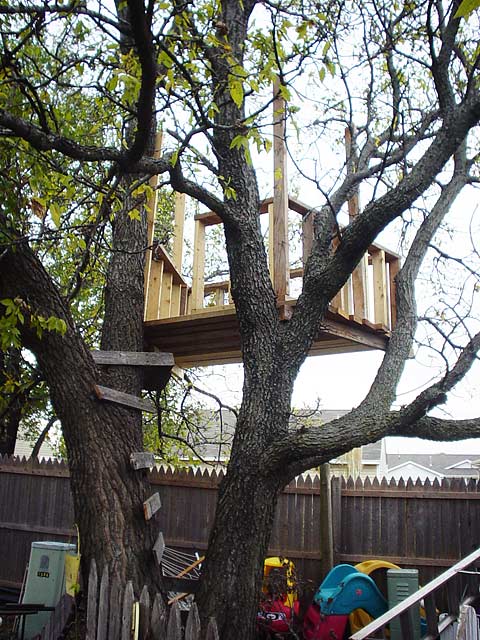 the treehouse from the ground